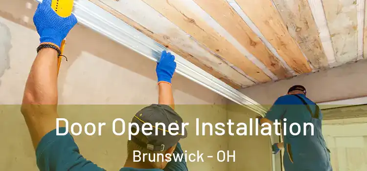  Door Opener Installation Brunswick - OH