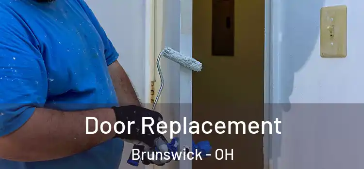  Door Replacement Brunswick - OH