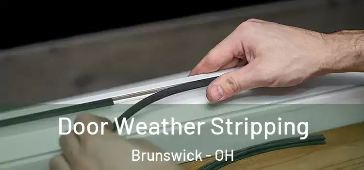  Door Weather Stripping Brunswick - OH