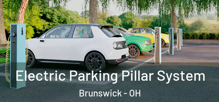  Electric Parking Pillar System Brunswick - OH