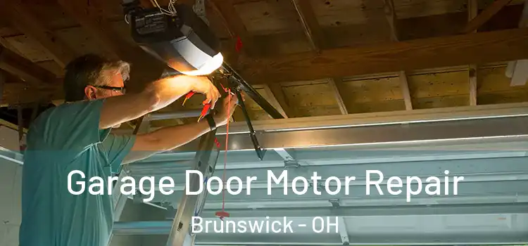  Garage Door Motor Repair Brunswick - OH