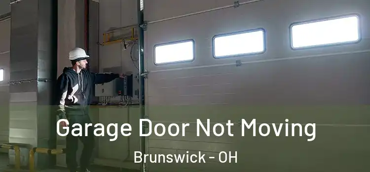 Garage Door Not Moving Brunswick - OH