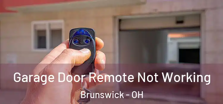  Garage Door Remote Not Working Brunswick - OH