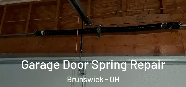  Garage Door Spring Repair Brunswick - OH