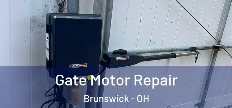  Gate Motor Repair Brunswick - OH