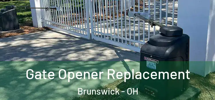 Gate Opener Replacement Brunswick - OH
