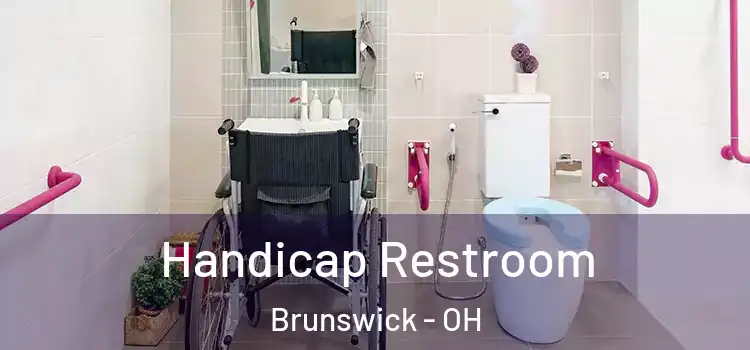  Handicap Restroom Brunswick - OH