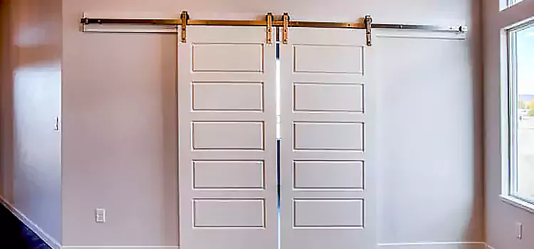 Glass Barn Door with Installation Hardware Kit Brunswick