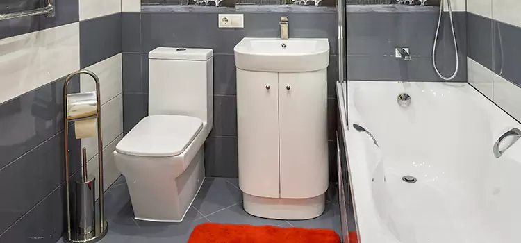 Hansgrohe Shaving Mirror Brunswick