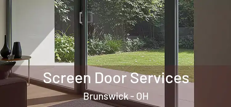 Screen Door Services Brunswick - OH