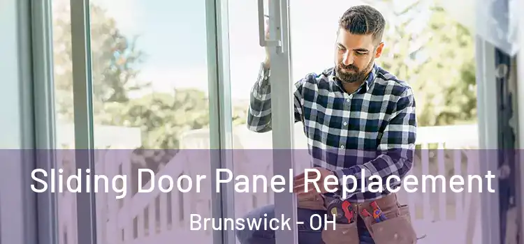  Sliding Door Panel Replacement Brunswick - OH