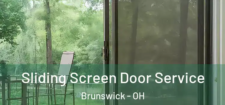  Sliding Screen Door Service Brunswick - OH
